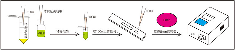 黃曲霉毒素B1熒光定量快速檢測卡檢測步驟 黃曲霉毒素B1熒光定量快速檢測卡檢測步驟