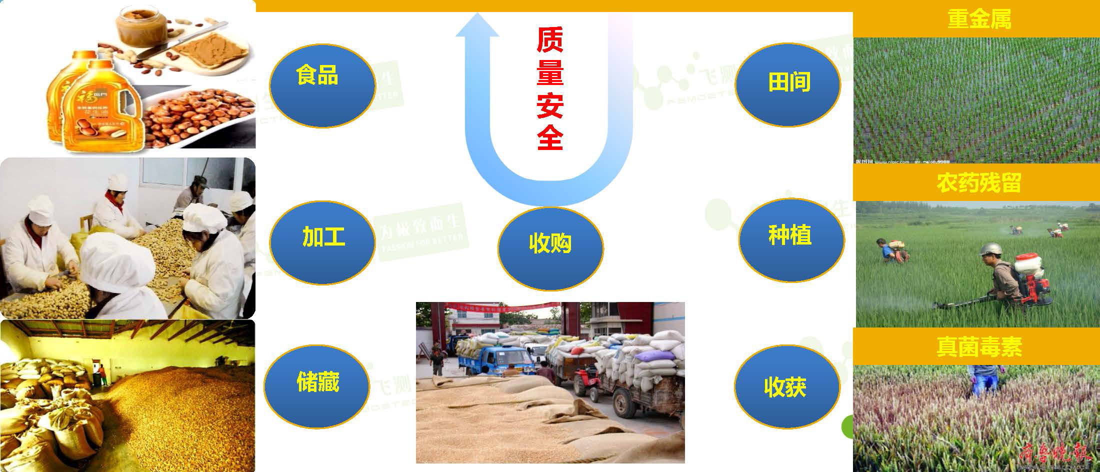 威脅著我國糧油質量安全的隱患  威脅著我國糧油質量安全的隱患