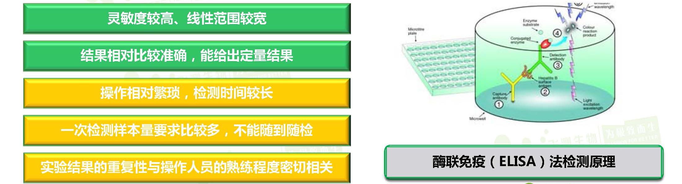 酶聯免疫分析方法(ELISA) 酶聯免疫分析方法(ELISA)