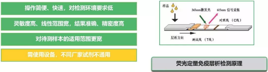 熒光定量免疫層析法yqd 熒光定量免疫層析法yqd