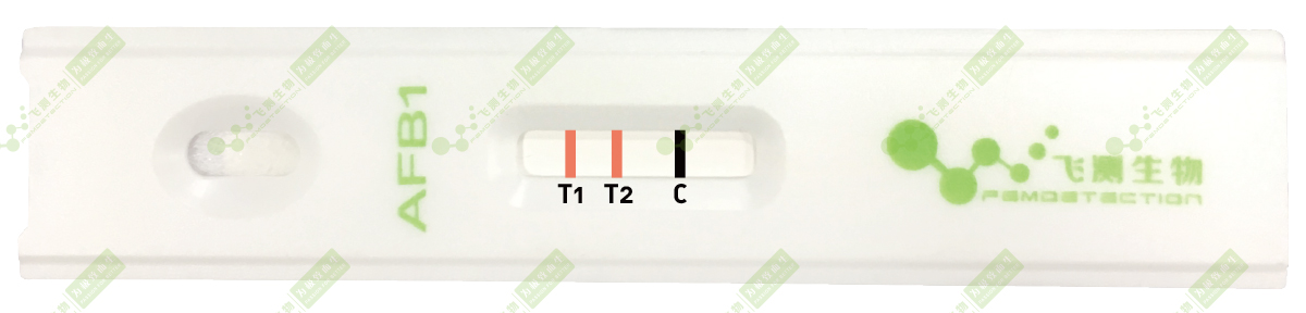 雙T線定量檢測(cè)技術(shù) 雙T線定量檢測(cè)技術(shù)