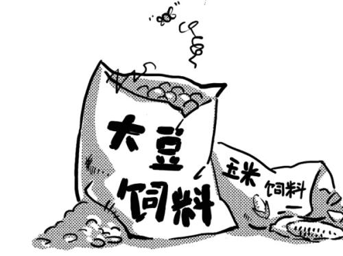 飼料 飼料