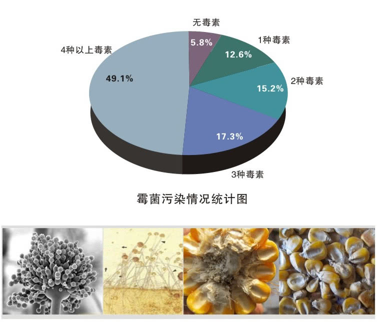 什么是霉菌毒素 什么是霉菌毒素