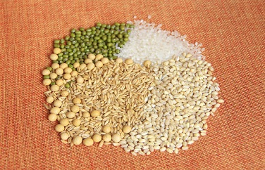 糧食真菌毒素 糧食真菌毒素