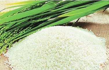 重金屬大米 重金屬大米