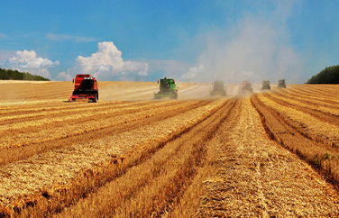 糧食重金屬檢測(cè)儀 糧食重金屬檢測(cè)儀