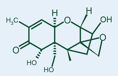 嘔吐毒素 嘔吐毒素