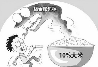 大米重金屬 大米重金屬